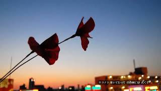 Download lagu 帰り道 / PENGIN mp3