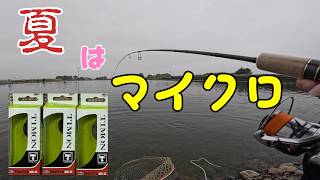 暑すぎる夏でも連発。マイクロパニクラが最強だった【エリア21】