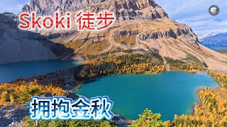 26、Skoki步道秋色，这条路基本上面是在路易斯镇的对面，在冬天是一个著名的滑雪场。徒步深入金松峡谷，拥抱四湖金秋美景：Patarmigan, Zigadenus, Myosotis 和Baker湖
