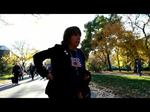 Příběhy (z) ulice