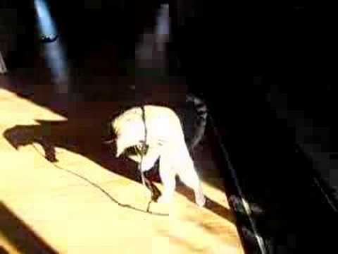 Amira vs the string Round 1