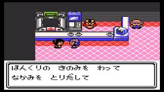 ポケモンやるよ(/・ω・)/2日目