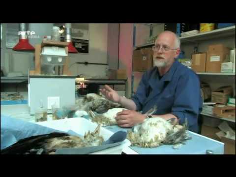 Plastik über alles - Eine Welt aus Plastik (3/9)