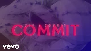 Big Story - The Committee video