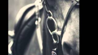 On the endless fields  - Haggard