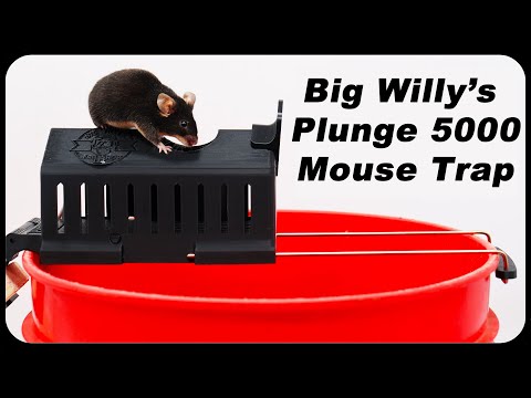 BIG WILLIE'S Plunge 5,000 Amazing Mouse Trap. Mousetrap Monday