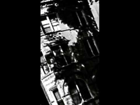 Wave Goodbye - The Birds (Official)