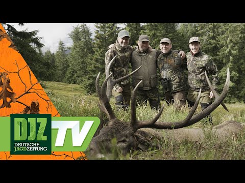The King of the Carpathians - DJZ TV