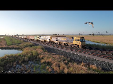 4PM6 Pacific National Container Freight Train (3/12/2022) - PoathTV Railways In Australia