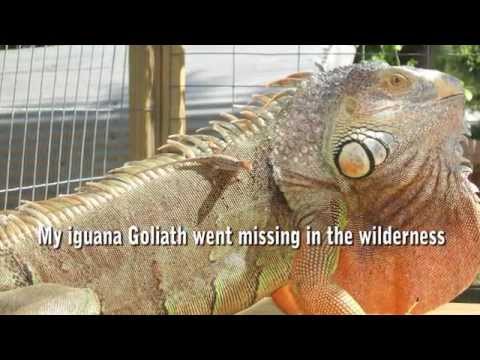 SOMETIMES GOOD THINGS HAPPEN