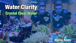 How to get Crystal Clear Water in a Saltwater Aquarium