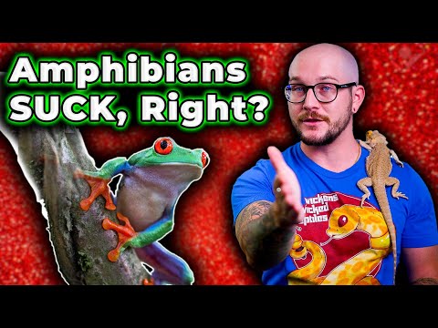 WHY DO YOU HATE THEM SO MUCH!? 5 Amphibians That Don't Suck!