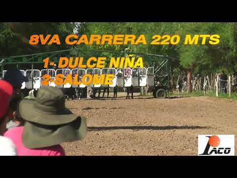 SALOME HIPODROMO 3 LUCES SERREZUELA 21  1 23