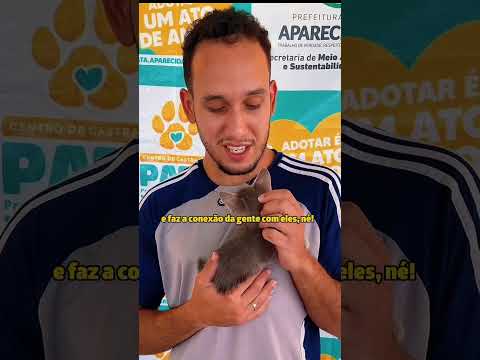 Projeto PATA: Transformando Adoção em Impacto Social Contínuo dentro de um Shopping