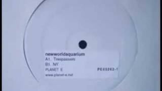 New World Aquarium-Trepassers