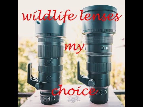 Test: Nikon Nikkor Z Wildlife Lenses -  NIKKOR Z 400mm f/4.5 VR S und  Nikkor Z 70-200 mm f/2.8