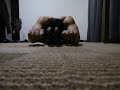 100 Ab Wheel アブローラー100回