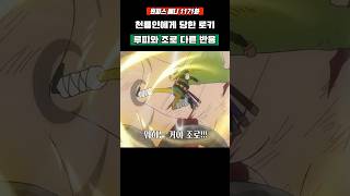 천룡인에게 당한 로키 루피와 조로 다른 반응 #원피스 #shorts