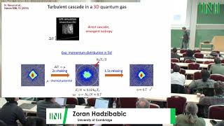 Prof. Zoran Hadzibabic | Wave turbulence in homogeneous Bose gases
