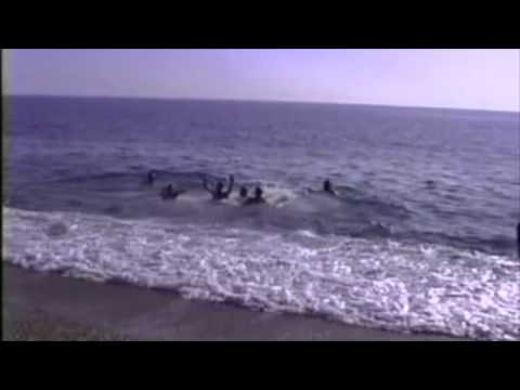 La Primera " remullada " Banyada Nadalenca Calella 1997