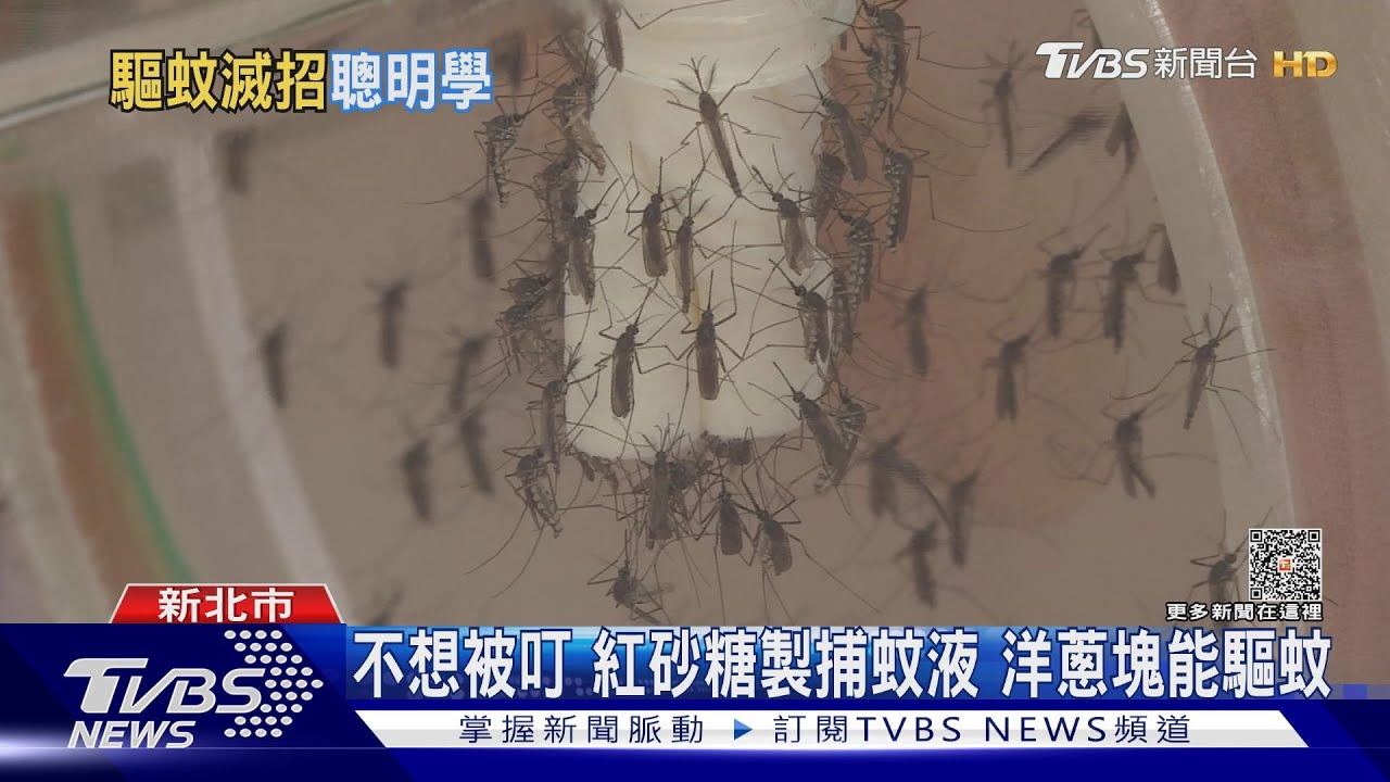 好癢!躲地下室睡覺被蚊子叮 男竟縱火燒