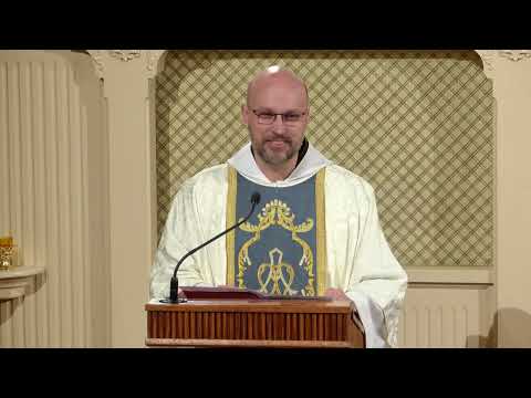 Readings and Homily - 2026-02-11 - Fr. John Paul