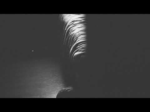 Follow You - Jenny Owen Youngs