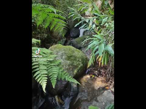 tibaná Boyacá Colombia bienvenidos todos a Colombia 🍀
