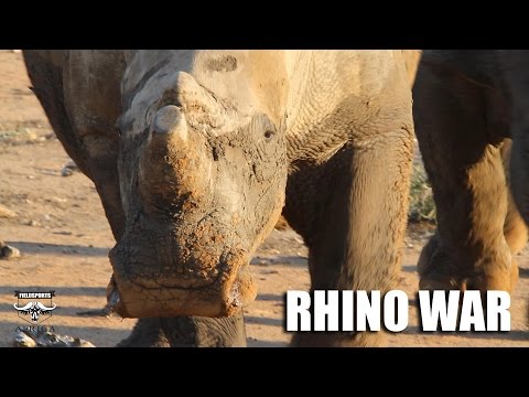 Rhino War: Fieldsports Africa special report