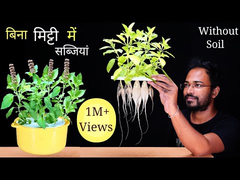 , title : 'How to Easily grow Tulsi without soil | Hydroponics system for Coriander and Tulsi'