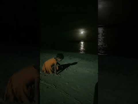 NIGHT VIEW # SEA BEACH # YTSHORT