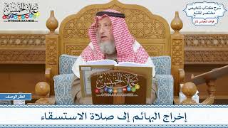 998 - إخراج البهائم إلى صلاة الاستسقاء - عثمان الخميس