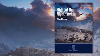 Flight of the Nighthawk