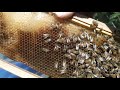 A NEW TWIST ON BUCKETS FEEDERS