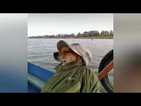 Nonstop💊- តម្រូវការអូនខ្ពស់ពេក Funky old style Khmer sad Rakk Zento Laxz & Nha Benz ft Ra Benz🎭