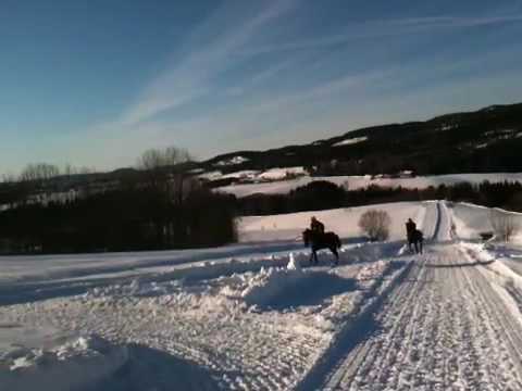 Vintertrening Rune Haugen