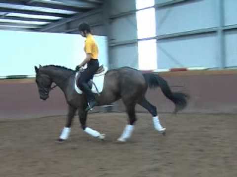 Kinnordy Donna Doria