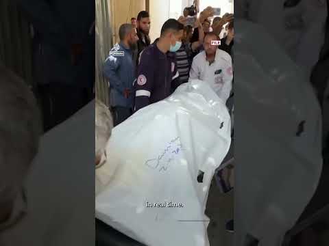 Jose Andres renews call for investigation into WCK Gaza staff killings | AJ Shorts