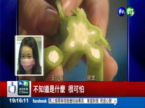 花椰菜心呈白色! 顧客疑藏保麗龍