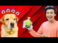Remote Control Car Prank On My Dog Leo Dar Gya Anant Rastogi