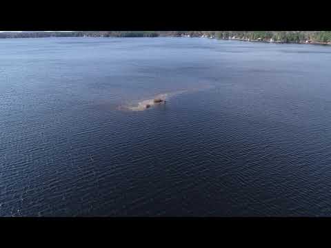 04282019 Seagull Island