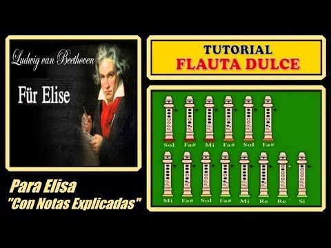 gradualmente Color de malva Escupir Notas Musicales para Flauta y Piano - Für Elise - Ludwig van Beethoven - Wattpad gradualmente Color de malva Escupir Notas Musicales para Flauta y Piano - Für Elise - Ludwig van Beethoven - Wattpad