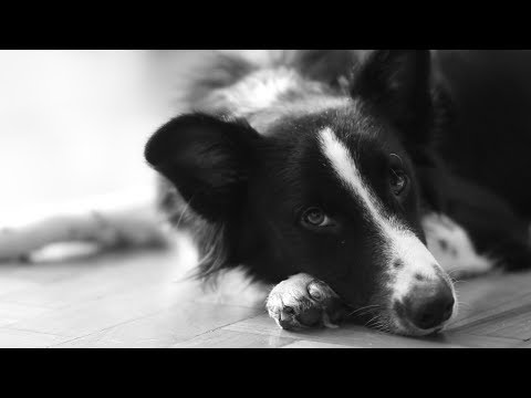 Ribeirx part. Abu - Estrada (Prod. CIANO)