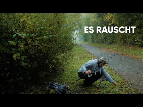 The leaves are falling, with success in autumn for perch and zander fishing!