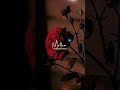 Kaalathukum Neeyum En Kannukulla Song Status ️ Tamilsongstatus Whatsappstatus Trendingshorts