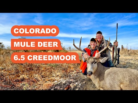 Trent Takes a Nice Mule Deer Buck with his 6.5 Creedmoor