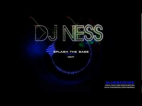 (David Whistle & Alan Walker) DJ Ness & DJ Walkzz - Splash The Bass