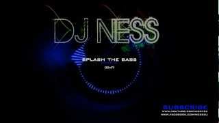 DJ Ness & DJ Walkzz - Splash The Bass