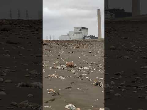 Moog Werkstatt-01: Valhalla: Serum:  Ambient composition