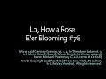 Lo, How a Rose E'er Blooming - Lyric Video